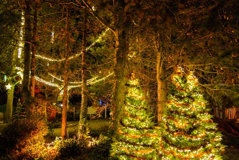 Gli alberi di Natale di Walibi Winter