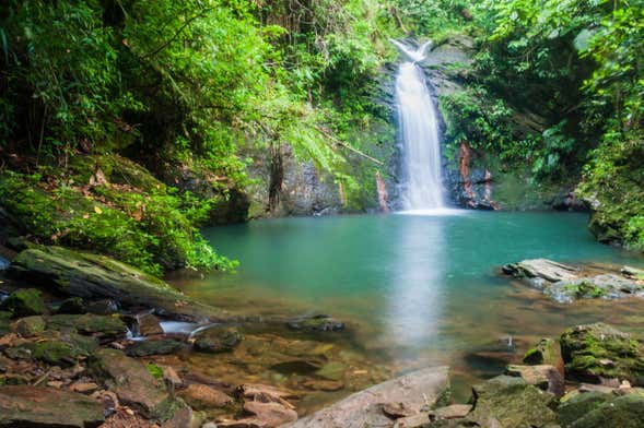 Mayan King Waterfalls Day Trip