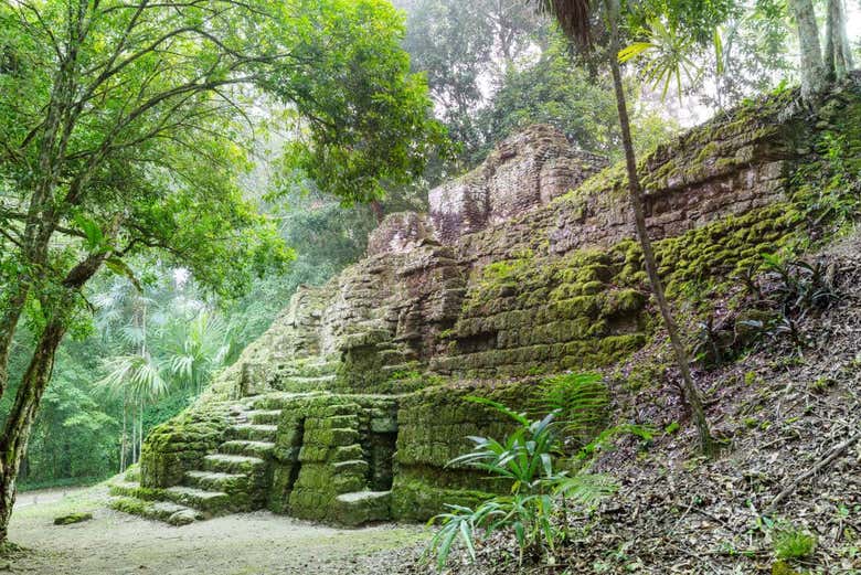 Templo de Tikal