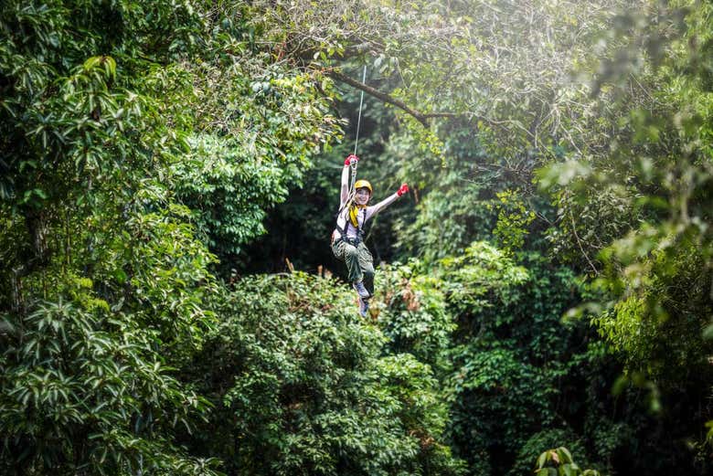 Tirolina sobre el Parque Jaguar Paw