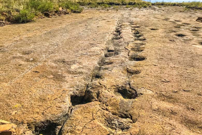 dinasaur footprints in toro toro