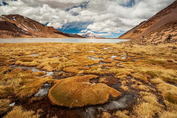 Tour de 2 días por el Parque Nacional Sajama