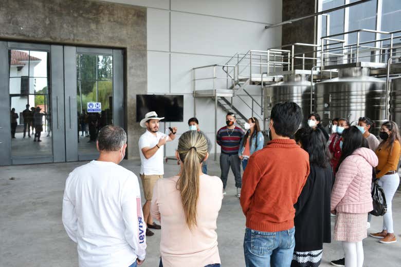 Exploring the facilities of a bodega