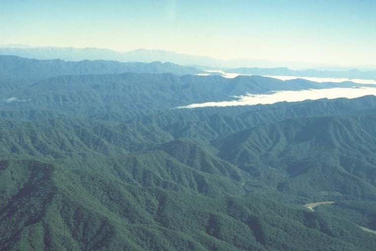 Discover the magestic Tariquía National Reserve