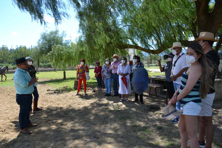 Tour por la hacienda de caballos