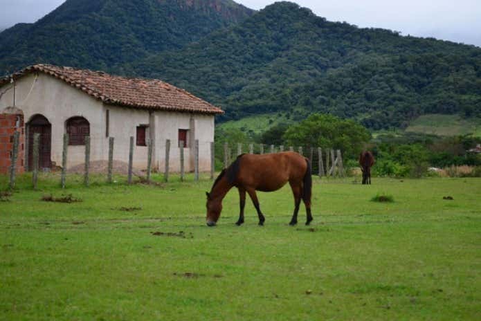 Valle del Medio