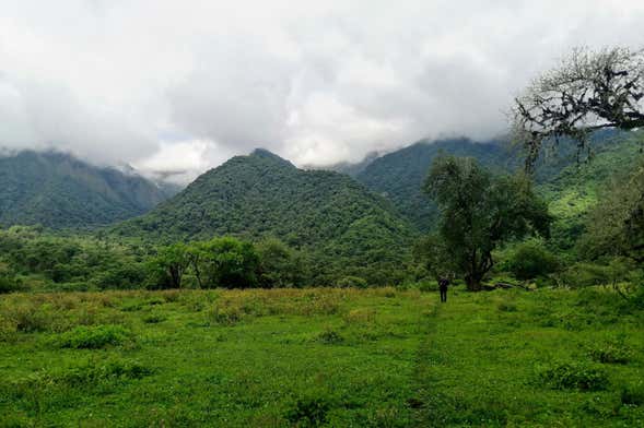 Tour de 6 días por la Reserva Nacional de Tariquía