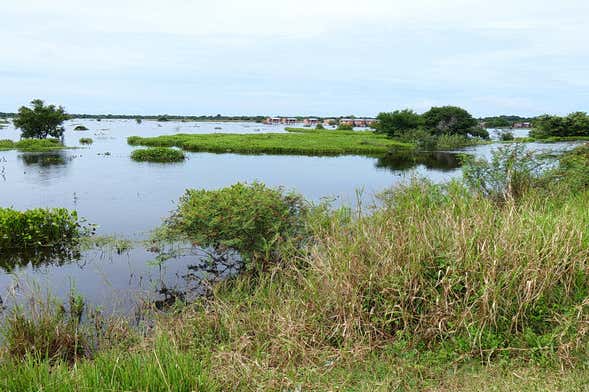 Ibare-Mamoré Protected Area Guided Tour