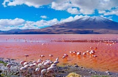 Tour de 4 días por Uyuni finalizando en La Paz