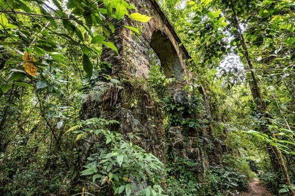 Mata Atlântica Greenway Hiking Tour