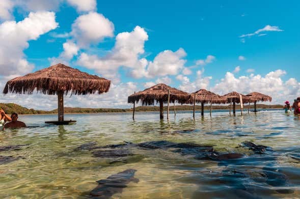 Excursão à Lagoa dos Tambaquis