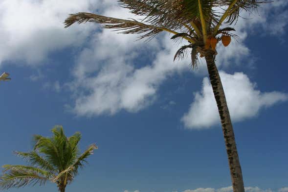 Excursão à praia Caueira e Lagoa dos Tambaquis