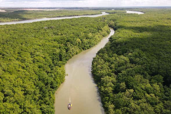 Excursión al delta del Parnaíba en barco