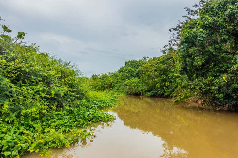 Navegando por el delta de Parnaíba