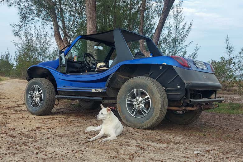 Buggy preparado para la ruta