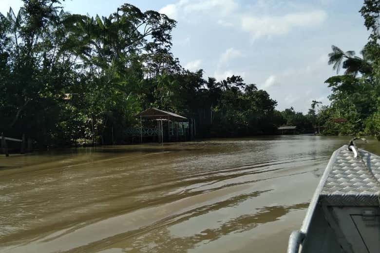 Paseo en barco por la isla de Combú