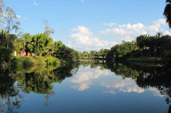 Excursão ao Instituto Inhotim