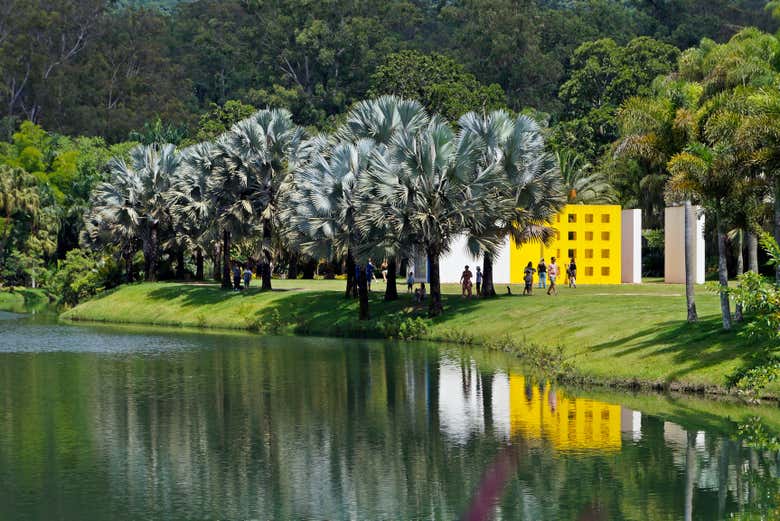 Jardin du musée en plein air de l'Institut Inhotim