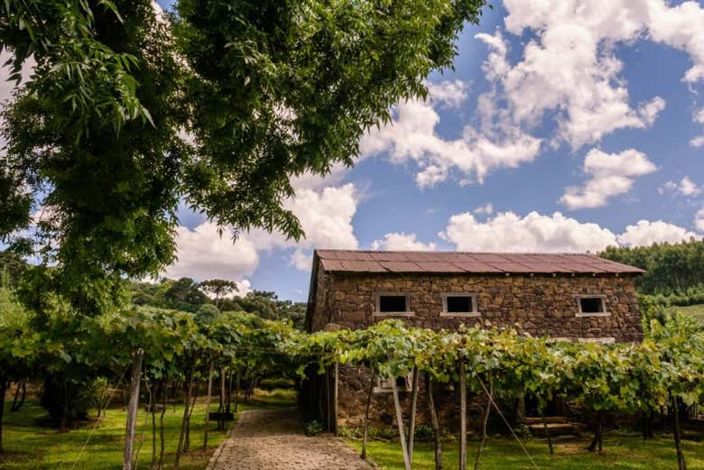 Caminhos de Pedra Landscapes