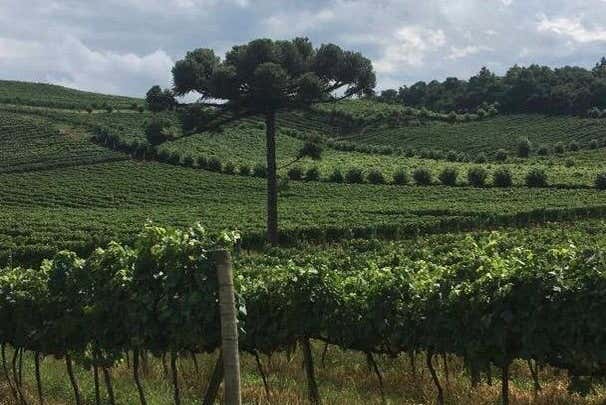 Landscapes in Serra Gaúcha