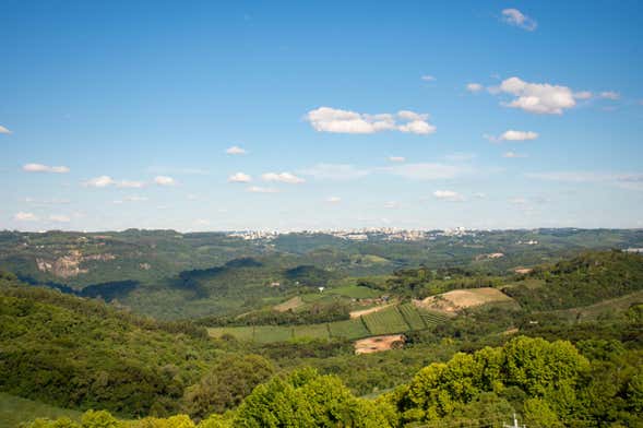 Visite des caves à vin de la Vale dos Vinhedos