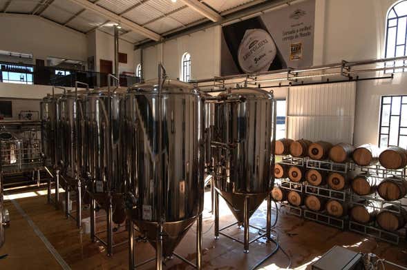 Tour da cerveja artesanal na Serra Gaúcha + almoço