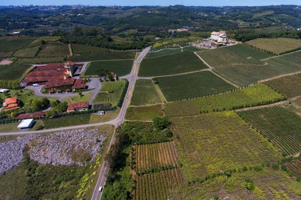 Tour da imigração italiana com almoço