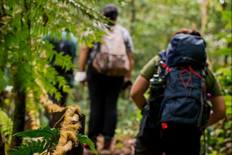 Pendant la randonnée autour de la cascade de Guaratuba