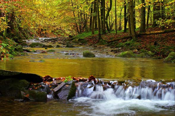 Randonnée à la cascade de Guaratuba