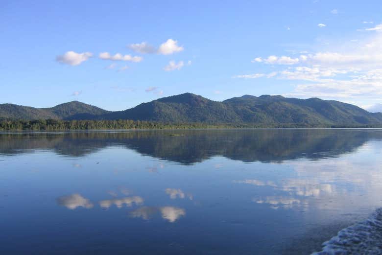 Paisajes del río Branco