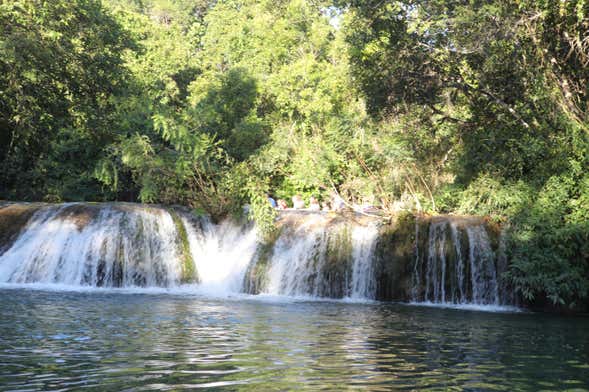 Eco Park Porto da Ilha Ticket