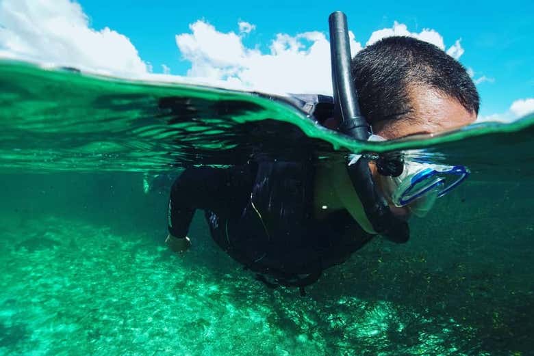 Snorkelling in Barra do Sucuri River