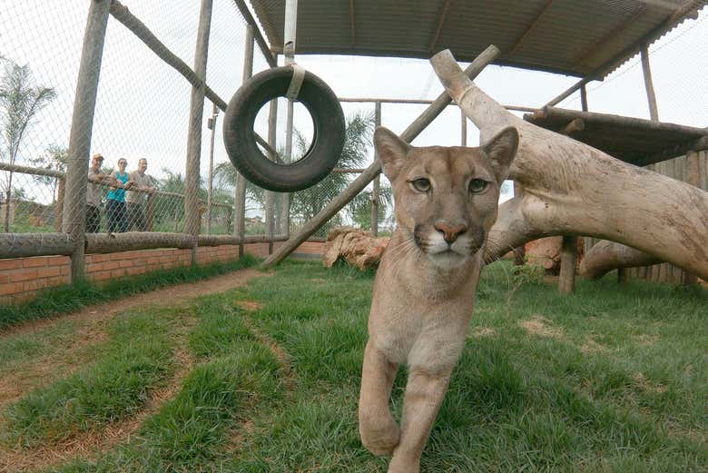 Some of the animals at the Bio Park