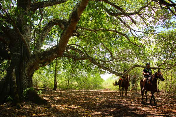 Paseo a caballo por el río Formoso