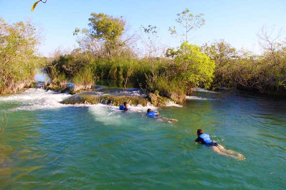 Snorkeling dans la rivière Formoso