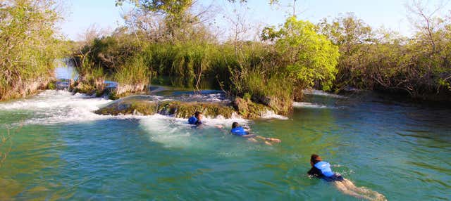 Snorkelling in the Formoso River, Bonito - Civitatis.com