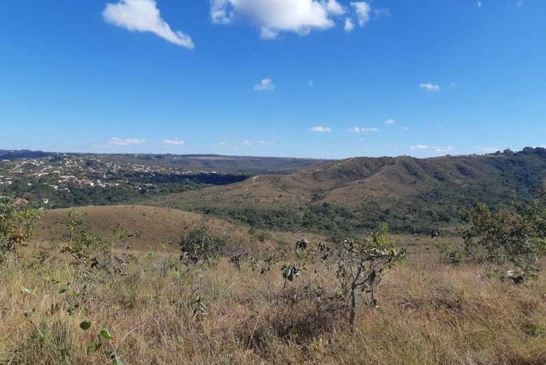 Brazilian cerrado landscapes