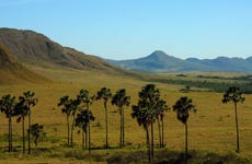 Brazilian Cerrado Day Bike Excursion