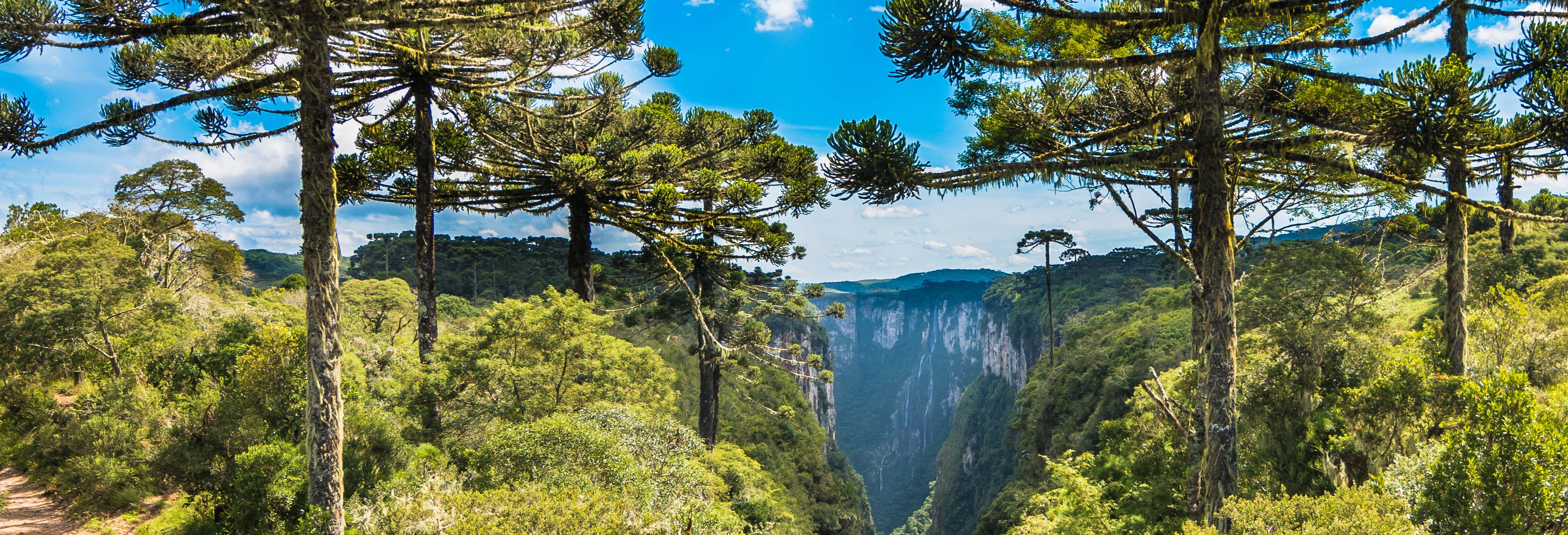 Cambará do Sul 