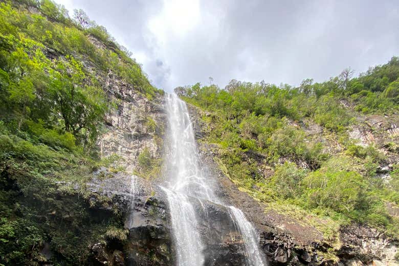 Visit Pedra Branca waterfall on this immersive hike