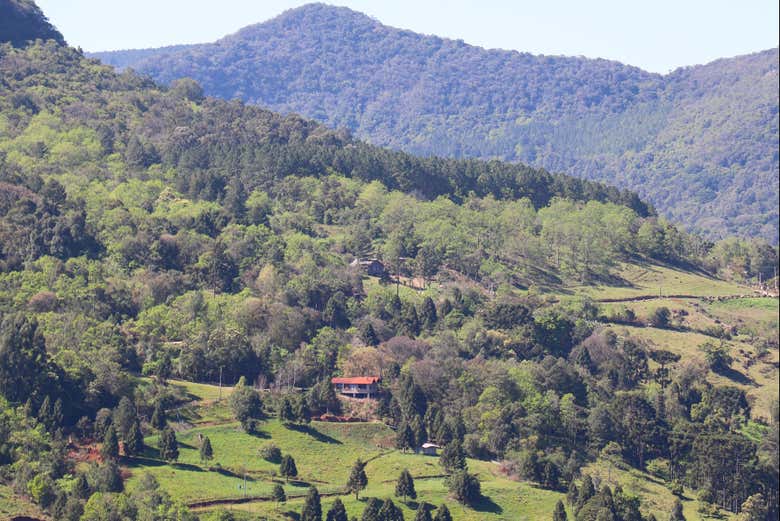 Paisagens que cercam a vinícola 