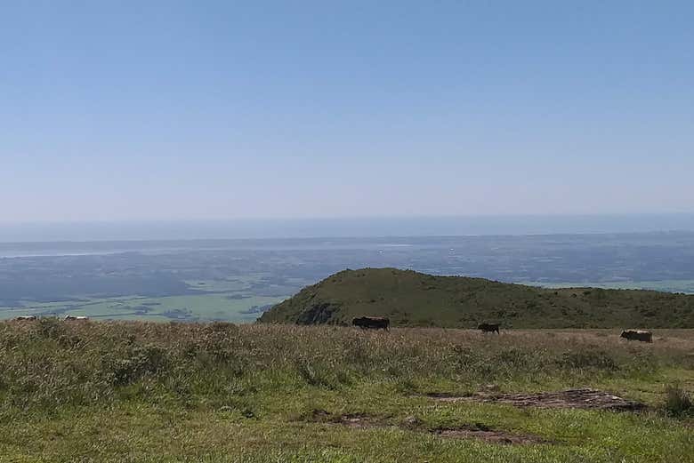 Look out over the green landscape