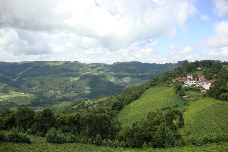 Paisagens de Faria Lemos