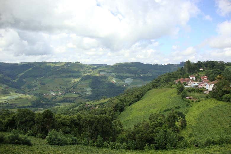 Paisajes de Faria Lemos