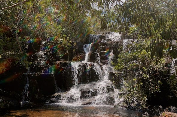 Trilha pelas cachoeiras Águas do Cerrado