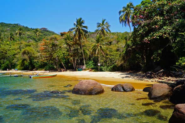 Transfer to Ilha Grande