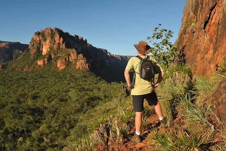 Immerse yourself in Brazilian nature