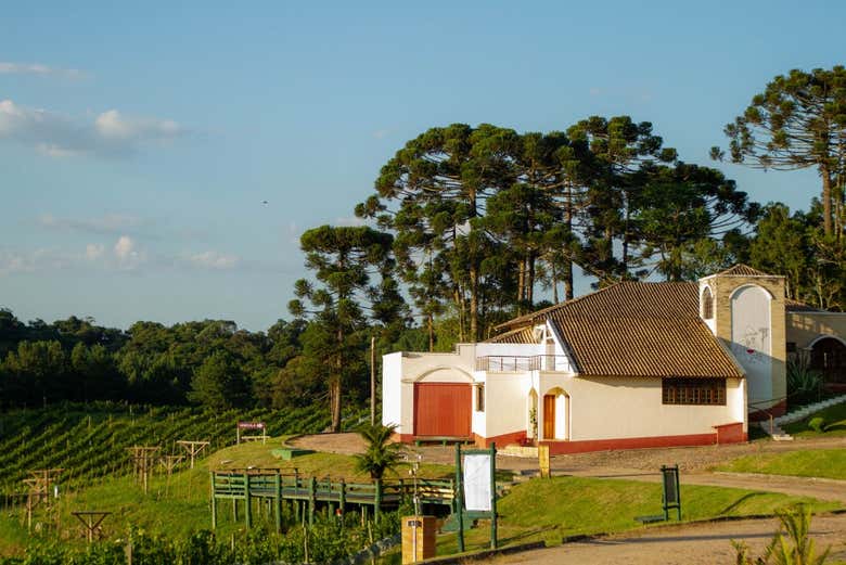 Cantina Vinícola Araucária 