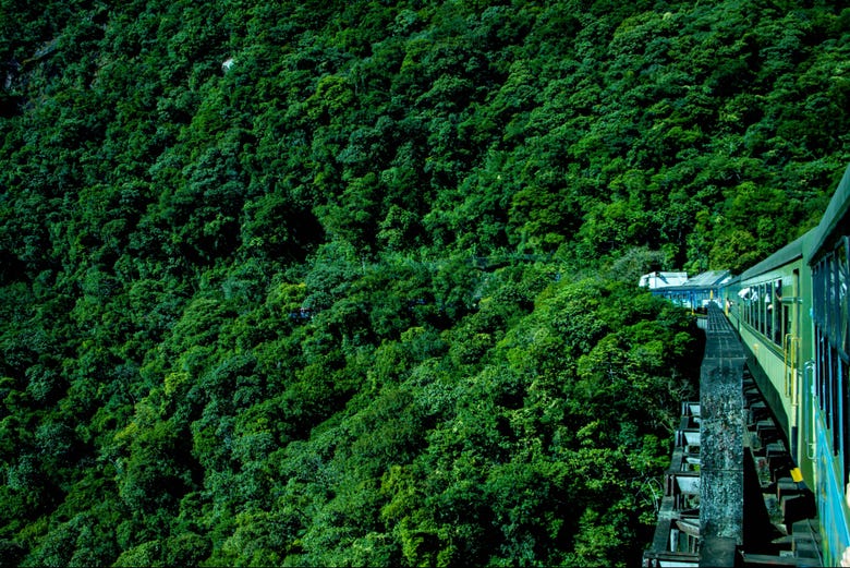 Você poderá admirar a exuberância da Mata Atlântica do trem