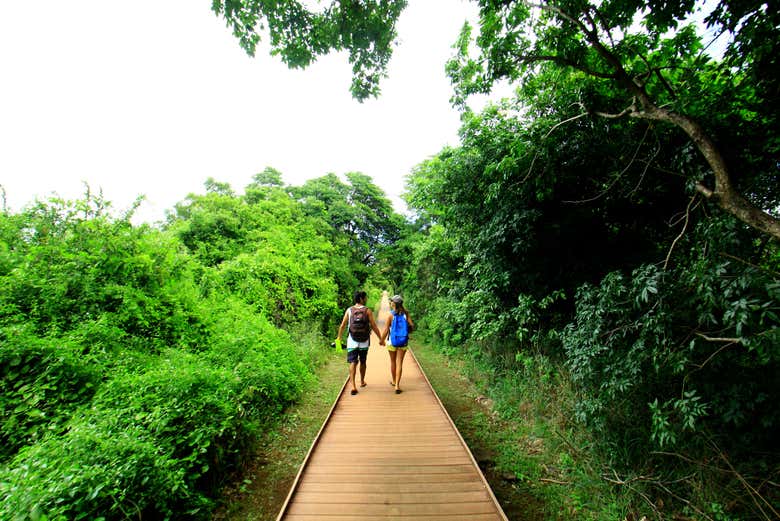 Hiking to the Golfinhos viewpoint